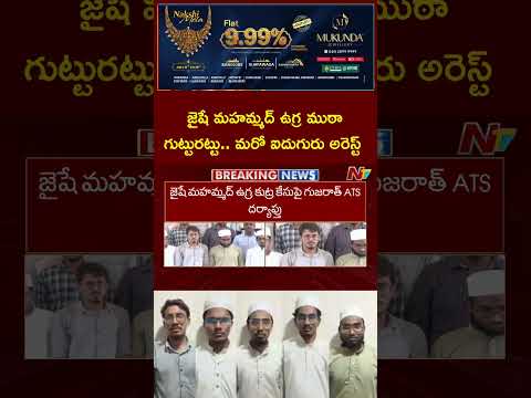 Gujarat ATS Arrests 5 Jaish-e-Mohammed Ter*rorists | NTV Telugu