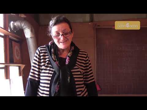 კანთის სკოლა მაღაზიაში - გაკვეთილები 7 მოსწავლისთვის