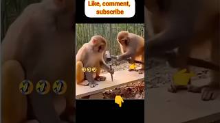 Funny situation😂#funny #funnyvideo #funnysituation #trending #foryou #viralvideo #shortvideo #fun
