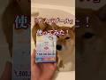 お風呂に浸かる柴犬が可愛いすぎた　　　#ナノバブール #お風呂革命ナノバブールプチ #ナノバブル #ウルトラファインバブル #pr