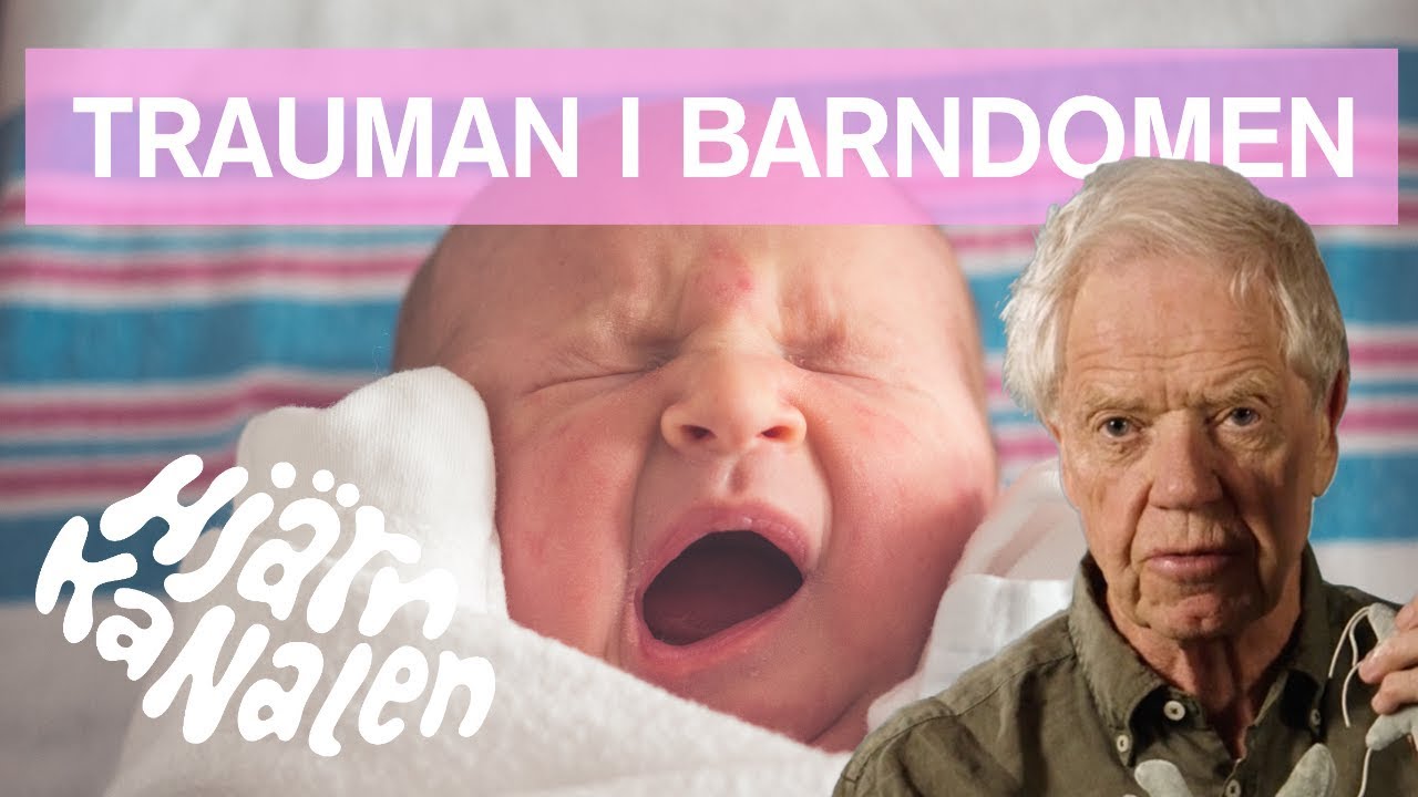 Hur påverkas hjärnan av vår barndom? - Hjärnkanalen