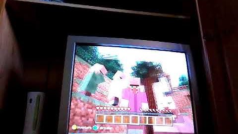 Cache cache 3 map foret