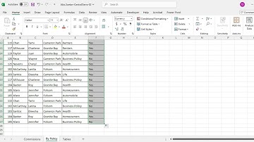Excel 2021-Ch2 Graded Project Independent Project 2-4 | CentralSierra-02
