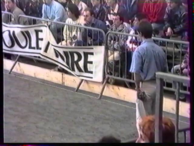 Miniature : National de Cholet Petanque 1995 4