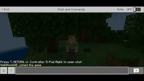 Answer The Question Plugin Pocketmine