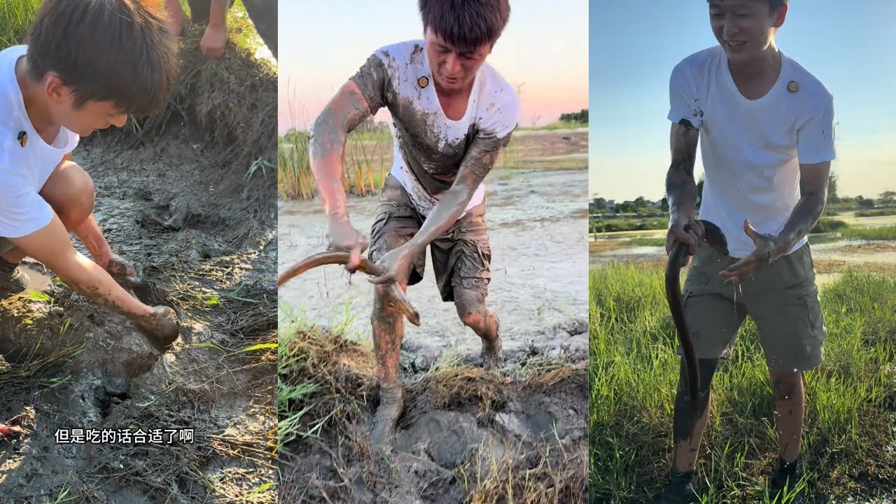 與蝦塘老闆合作共贏，心心相惜#fishing #大熱門