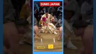 nice sumo japan#shorts