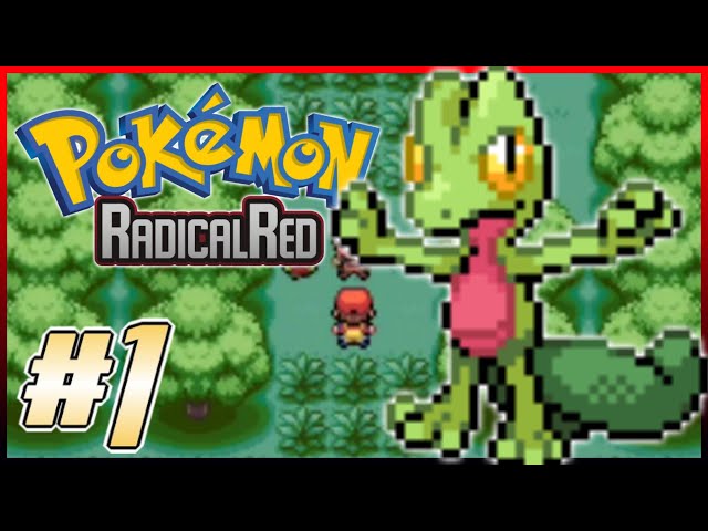 Pokémon Radical Red first walkthrough, HOF. Please rate my team