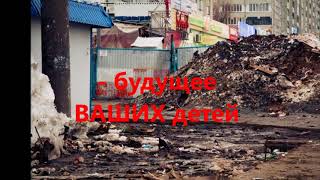 В мире животных. При съемке данного ролика ни одно животное не пострадало В мире животных. При съемке данного ролика ни одно животное не пострадало