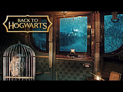 Hogwarts Carriages on a Rainy Night | Harry Potter inspired Ambience & Music | Thestral Carriage