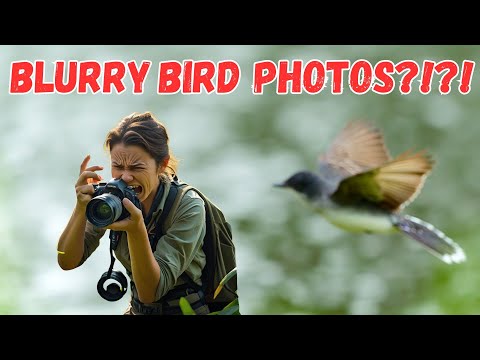 Why Your Bird Shots Are Still Blurry – 8 Mistakes You’re Making!!