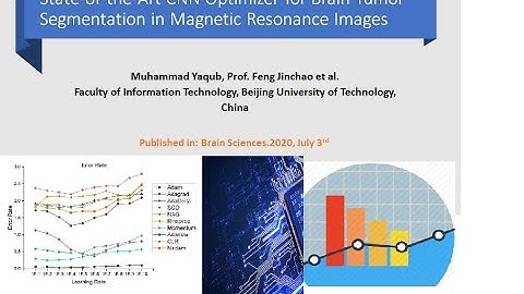 State-of-the-Art CNN Optimizer for Brain Tumor Segmentation in Magnetic Resonance Images