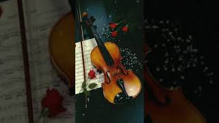 Instrumental ringtone/colour photo movie bgm