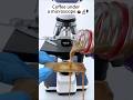 कॉफी under the microscope 🔬😱 #shorts #facts #microscope #1million #amazonfinds #zoom #fyp #science