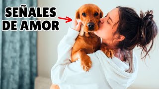 12 formas en que tu perro dice 'TE AMO' (confirmadas por la ciencia) by Zona Perros 16,298 views 6 months ago 9 minutes, 1 second