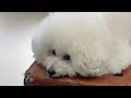 ポカポカ