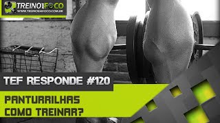 Como Aumentar O Tamanho Das Panturrilhas  Tef Responde  120