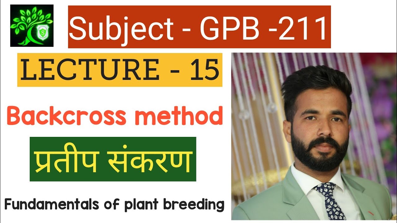 Backcross method | Bsc Agriculture 2nd year plant breeding | fundamentals of plant breeding| GPB-211