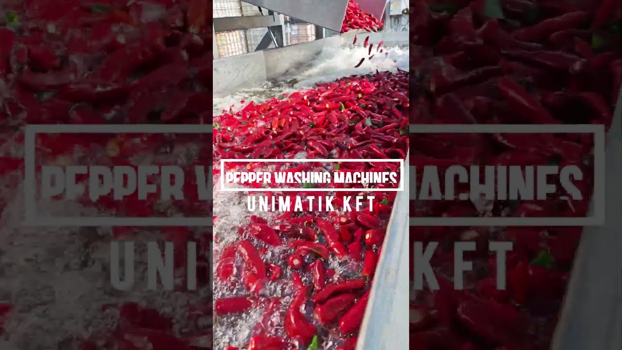 Pepper, Vegetables, Fruit Washing Machine / Zöldség, gyümölcs mosógép