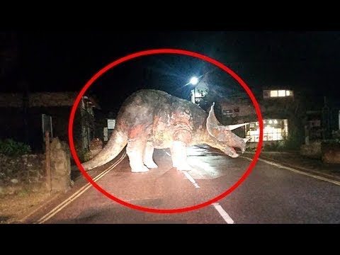 Gerçek Hayatta Kameraya Yakalanan 10 Dinozor