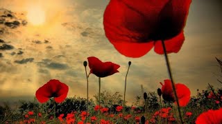 Remembrance 2020 Intro