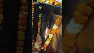 जय मत द Jwala Devi Mandir Pujari Kapil Muni 9816252111