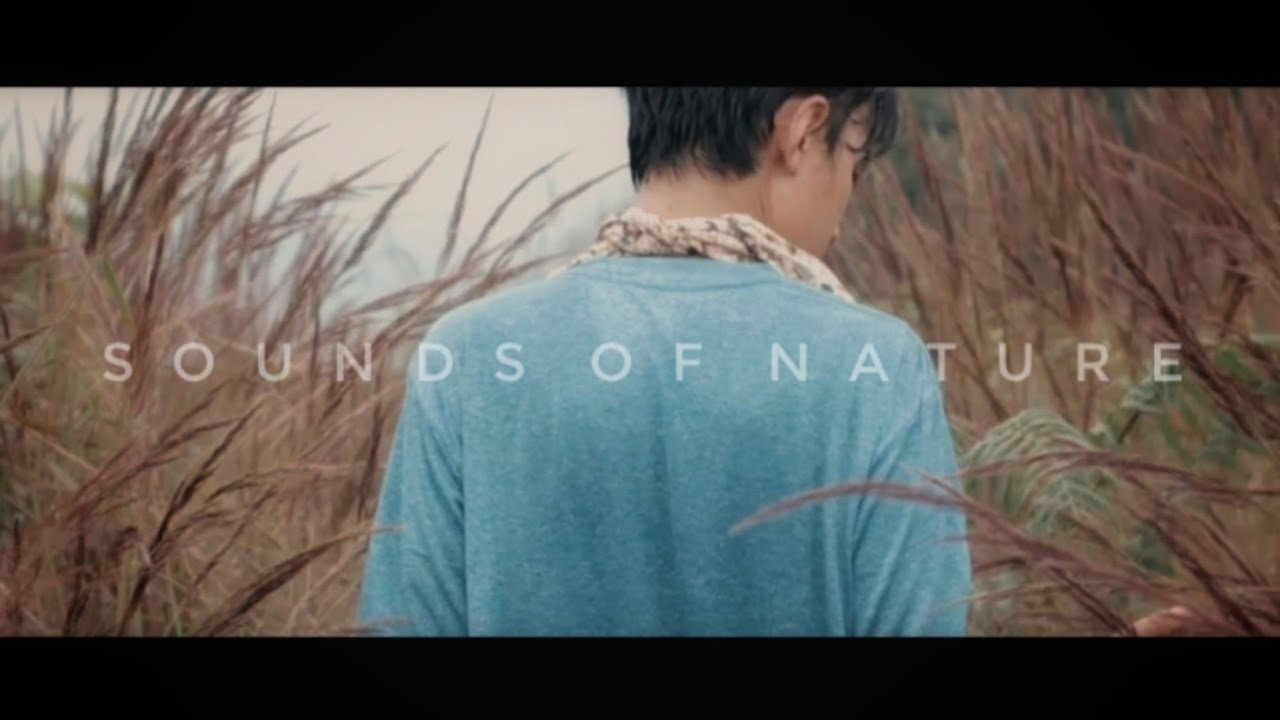 Sounds of Nature | Cinematic Travel Video 2021 (B Roll)