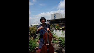 Download Lagu Raffi Boden: Bach \u0026 Klezmer for cello MP3