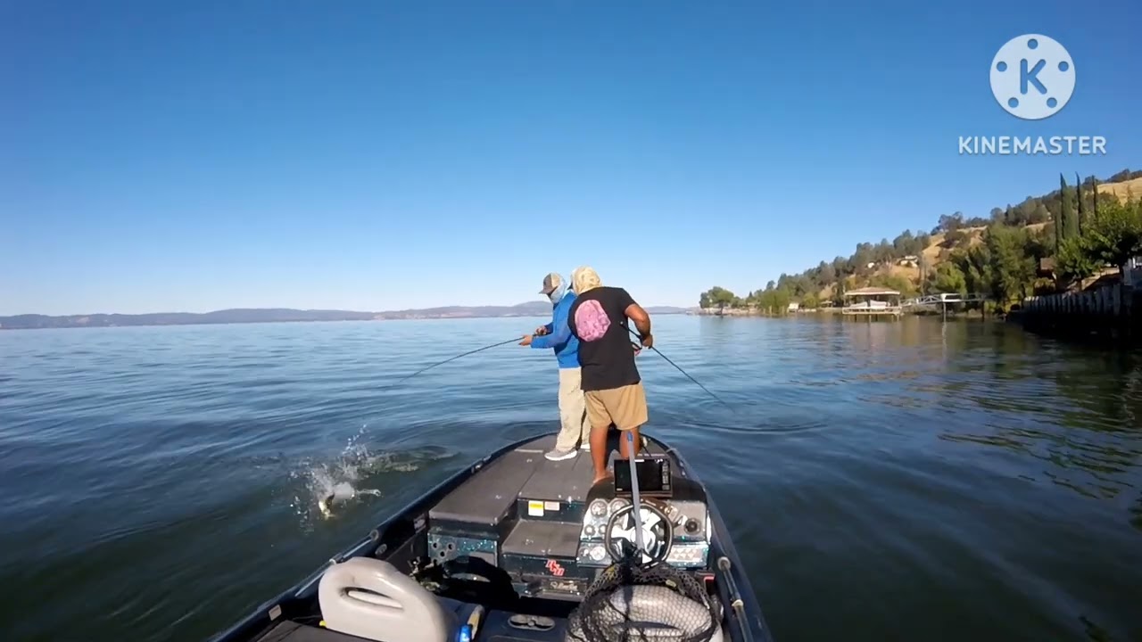 NewJen’s Bass Fishing TOC at Clearlake Ca 10/7-10/8