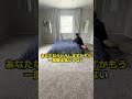 まず最初に何をしますか?