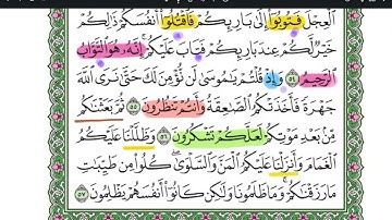 وَإِذْ نَجَّيْنَٰكُم مِّنْ ءَالِ فِرْعَوْنَ - سورة البقرة🐄 -  صفحة 8