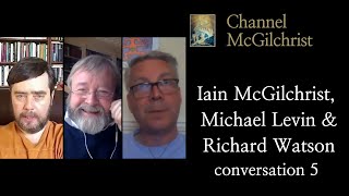 Iain McGilchrist, Michael Levin and Richard Watson conversation 5