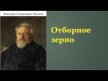 Николай Семёнович Лесков.  Отборное зерно. аудиокнига.