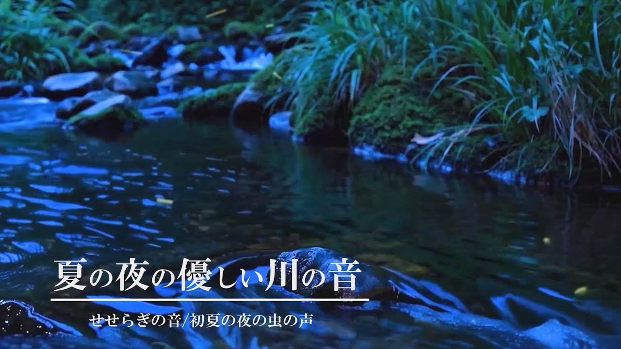 [環境音/ASMR]夏の夜の優しい川の音/8時間/せせらぎの音/初夏の虫の声/@SoundForest-main - YouTube