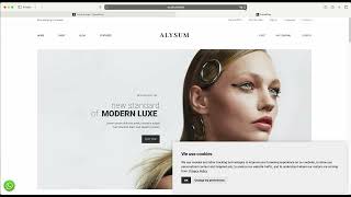 Alysum Prestashop AMP theme — Installation in browser