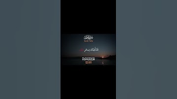 #سورة_طه #محمد_ايوب #اكسبلور #المصحف #لايك #اذكر_الله