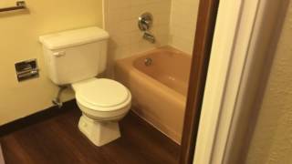 833 Dexter One Bedroom