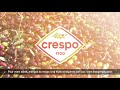 Crespo campagne 2020 bfm tv