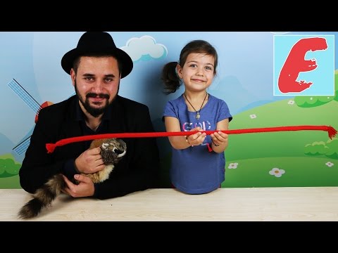 ფოკუს მოკუსი. ემილია და ილუზიონისტი ავთო ატარებენ ფოკუსებს