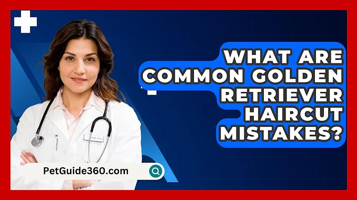 What Are Common Golden Retriever Haircut Mistakes? - PetGuide360.com