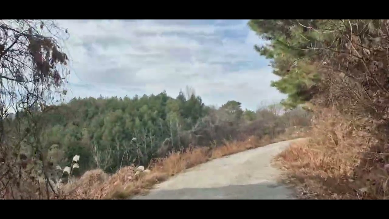 비봉산다운힐 배경음악 직접만든 Ai음악 입니다