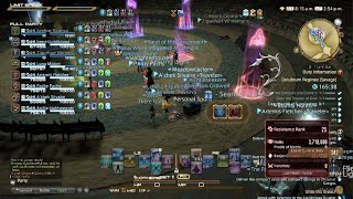 FINAL FANTASY XIV DRS First Clear WHM POV