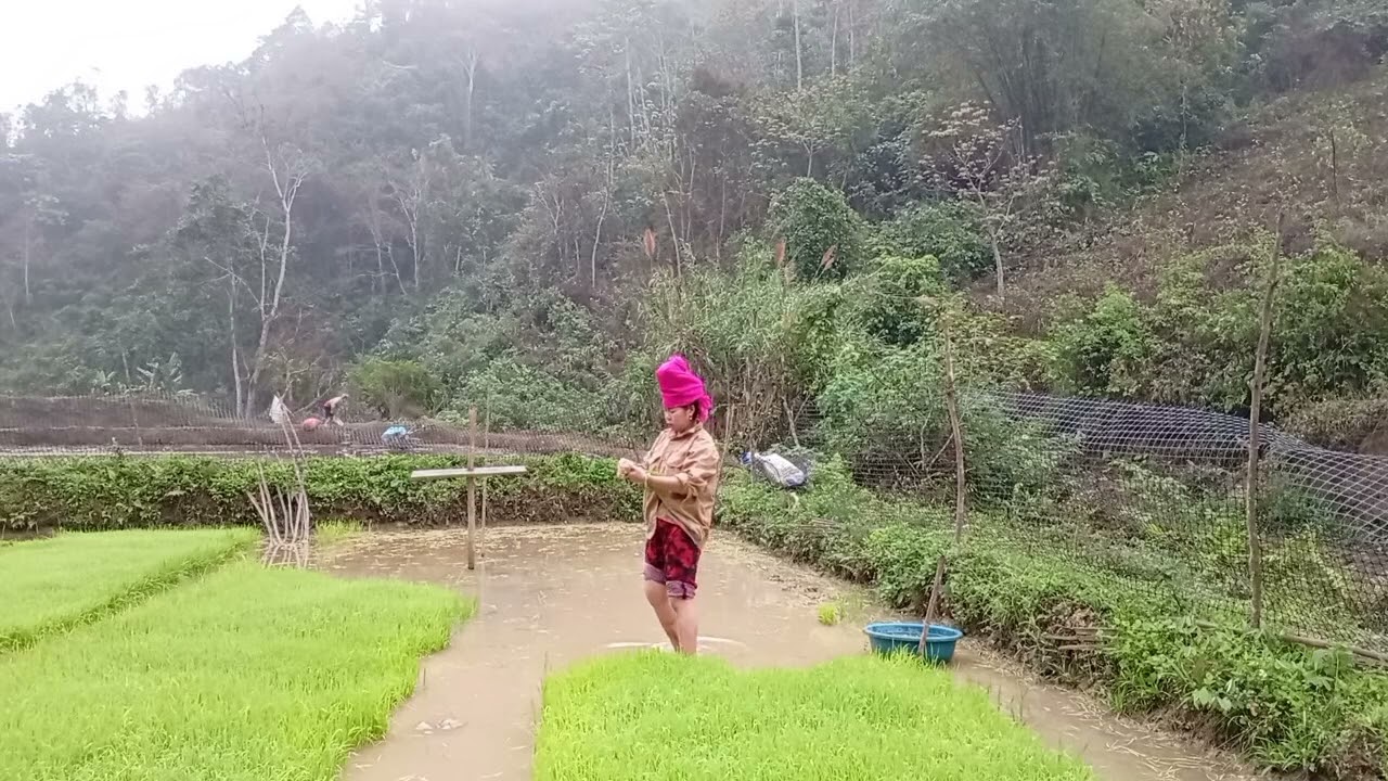 Tôn le nong La độc cả nợ pi nóng oi