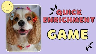 Easy Dog Enrichment Game You Can Play at Home | Brain and Fitness Games for Dogs screenshot 5