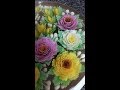 3D Gelatin Cake Collection 2