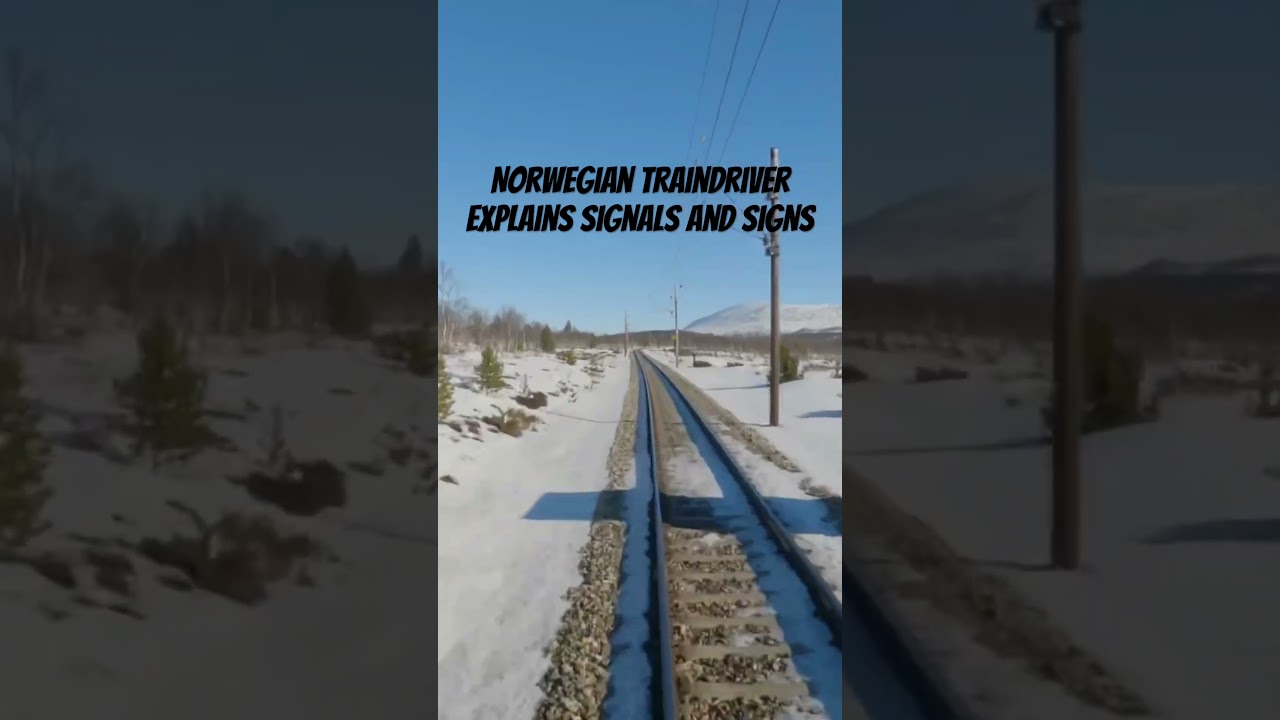 Norwegian driver explains signals and signs