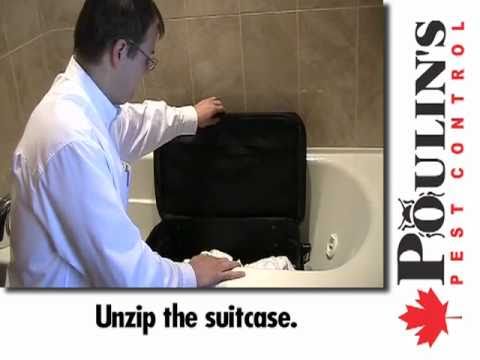 Preventing Bedbugs When Returning From a Trip