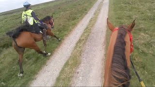 We See The Pacer In Slow Motion He Is Nearly Quicker Than Farouks Slow Canter