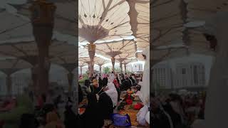Madinah jummah khutbah Masjid e Nabwi