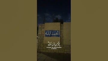 سورة التغابن 11    الشيخ رعد الكردي🍂  #قرآن